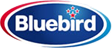 Bluebird